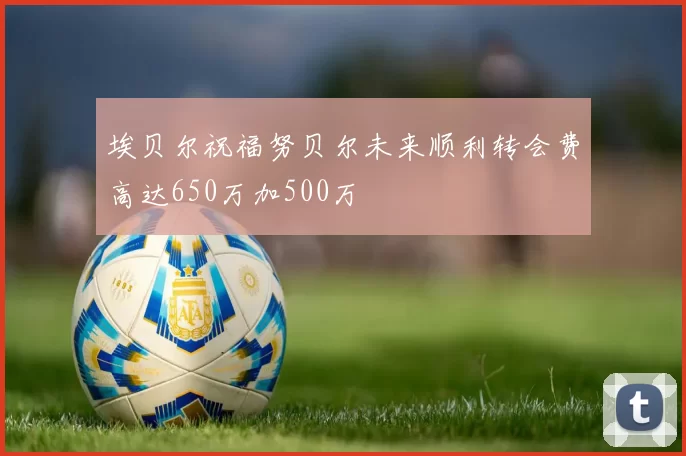 埃贝尔祝福努贝尔未来顺利转会费高达650万加500万